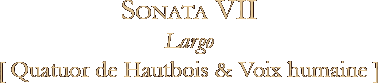 Sonata VII